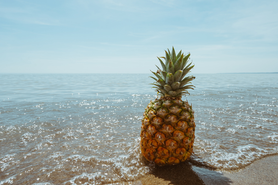 Pineapple In the Sea Shore